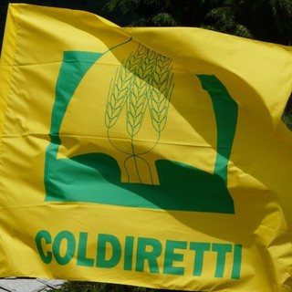 Maltempo, Coldiretti chiede lo stato di calamità alla Regione Liguria