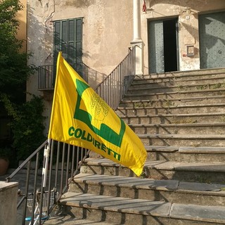 Coronavirus: stop alle speculazioni. Coldiretti: "Scegliere prodotti Made in Liguria per sostenere l’economia territoriale"