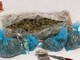 Un giovane arrestato a Chiavari per spaccio: sequestrati 1,3 kg di marijuana