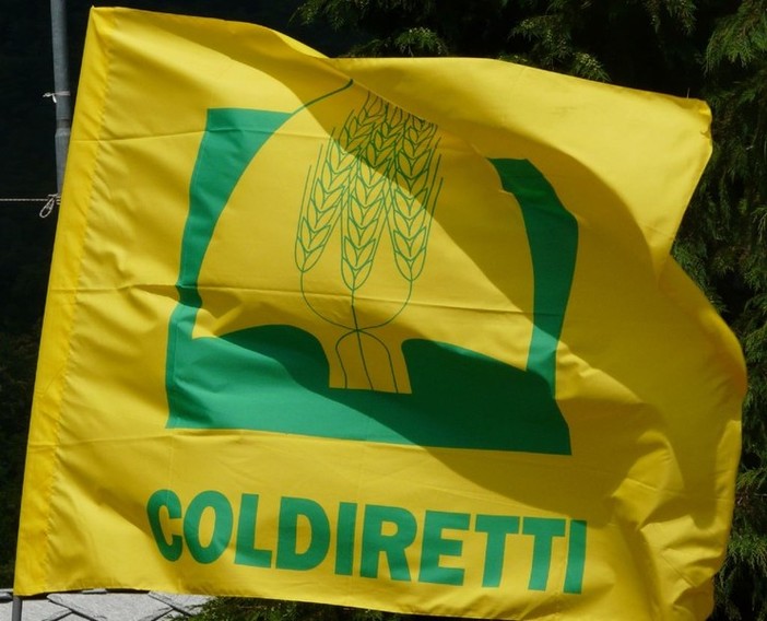 Maltempo, Coldiretti chiede lo stato di calamità naturale alla Regione