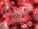 Coronavirus, i numeri in Liguria. 248 nuove positività nelle ultime 24 ore