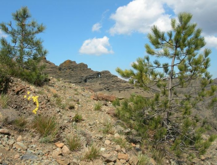 Il canyon della val Gargassa (foto tratta da parcobeigua.it)