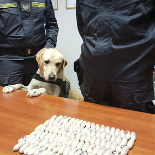 Cani antidroga in azione: sequestrate due spedizioni di eroina e marijuana