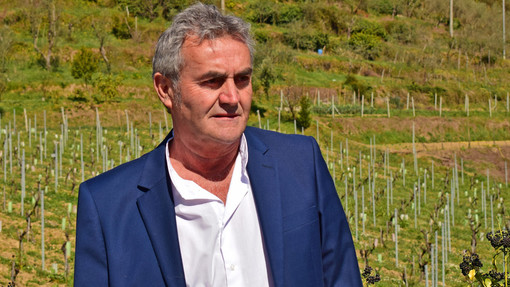 Parco di Portofino, Muzio (Forza Italia): "Pieno sostegno alla proposta della Regione"