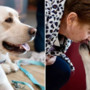 Premio Fedeltà del cane, il “Primus inter pares” a Joy: con la sua insistenza ha portato Barbara a scoprire un tumore al pancreas Premio Fedeltà del cane, il “Primus inter pares” a Joy: con la sua insistenza ha portato Barbara a scoprire un tumore al pancreas