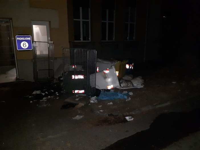 Cinghiali devastano regolarmente i cassonetti del San Martino, l'allarme degli addetti allo spazzamento