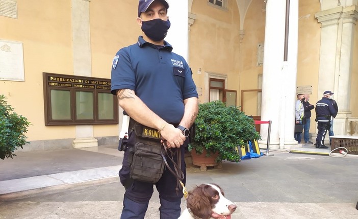 Due nuovi acquisti della polizia locale per il contrasto allo spaccio, ecco Nanuk e il suo istruttore Francesco (FOTO e VIDEO)