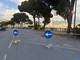 Corso Podestà, al via la manutenzione di 14 pini: interventi di potatura e messa in sicurezza Corso Podestà, al via la manutenzione di 14 pini: interventi di potatura e messa in sicurezza