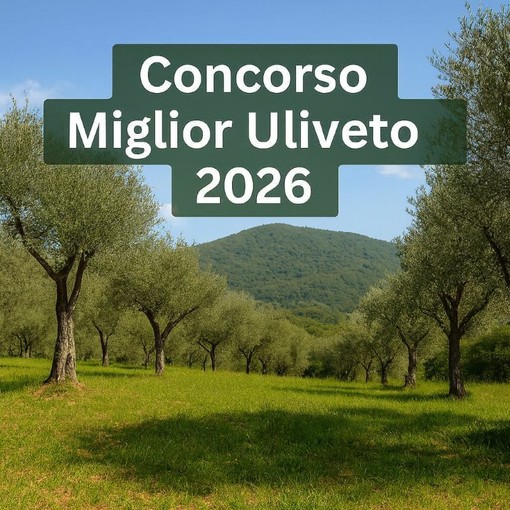 Recco, adesione al concorso "Miglior Uliveto 2026"