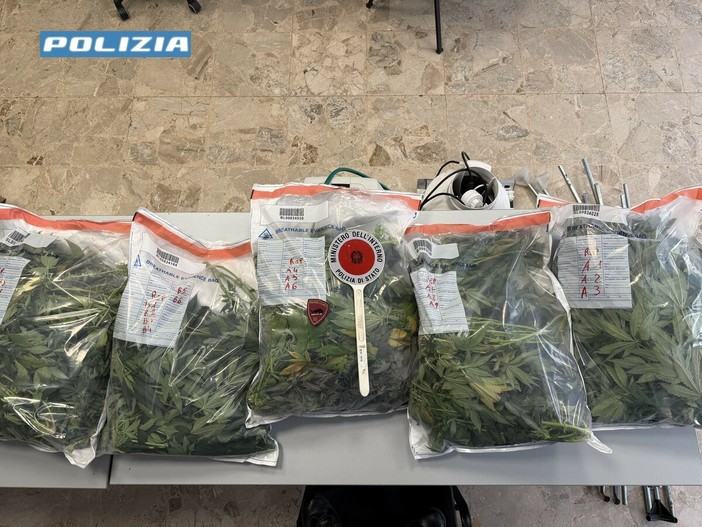 Sestri Ponente, intervengono per un’occupazione abusiva e scoprono un laboratorio di marijuana in casa