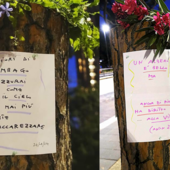 Foto: Italia Nostra Genova Foto: Italia Nostra Genova