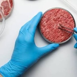 Carne coltivata, Coldiretti Liguria: "Bene lo stop ai nomi ingannevoli, più tutele per agricoltori e allevatori"