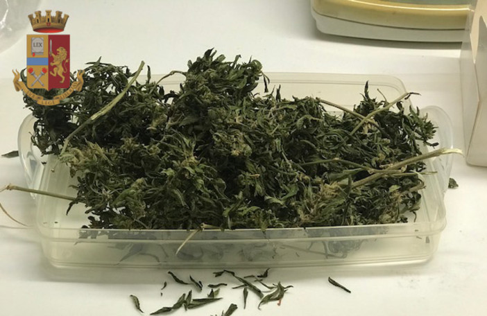 Due ventenni denunciati per spaccio dalla polizia di Rapallo Due ventenni denunciati per spaccio dalla polizia di Rapallo