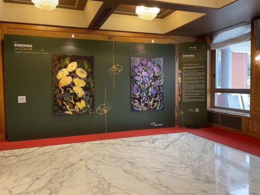 La sostanza del colore, le suggestioni dell'artista Maria Rosa Vendola nell'esposizione di Banca Carige (Video)