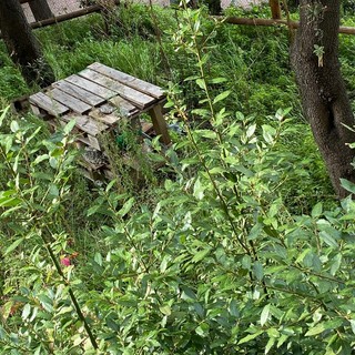 Giardini del Fossato: quando i volontari facevano la differenza (FOTO)