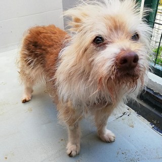 Immagine di repertorio