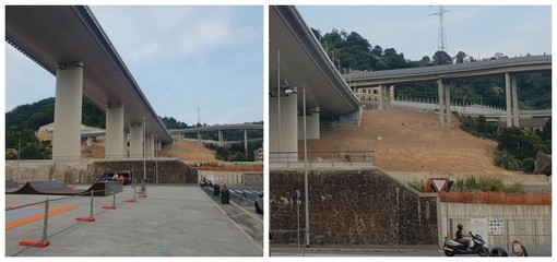 Il (poco) verde secca sotto il ponte e la collina diventa brulla. Visione desolante all'ombra del San Giorgio (FOTO) Il (poco) verde secca sotto il ponte e la collina diventa brulla. Visione desolante all'ombra del San Giorgio (FOTO)