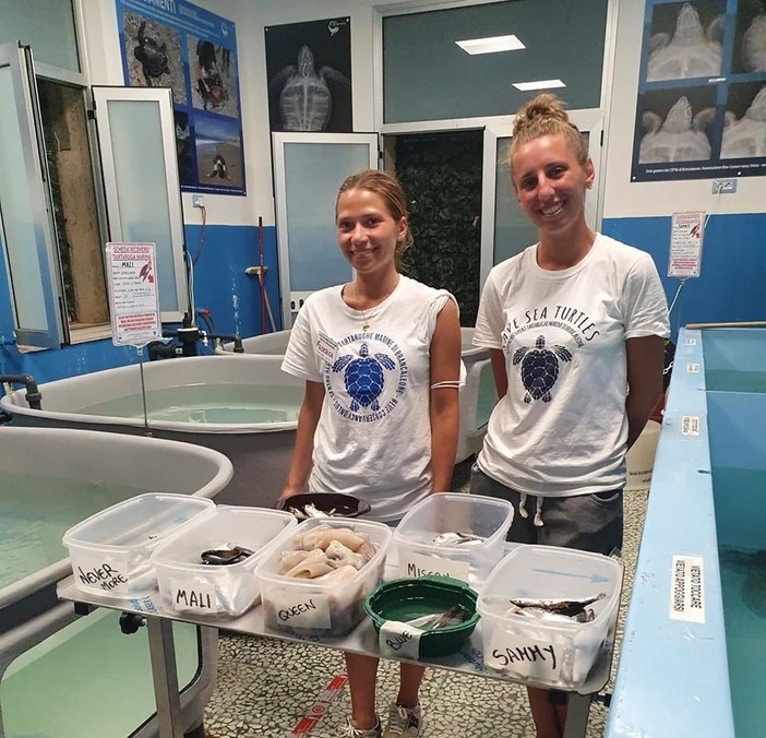 E' genovese una delle due volontarie del Centro recupero tartarughe marine di Brancaleone [FOTO]
