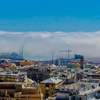 La “Caligo” torna a visitare Genova: le immagini del fenomeno in time lapse (VIDEO)