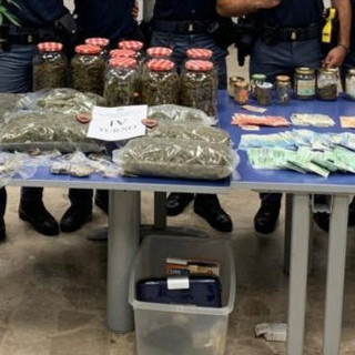 I poliziotti notano un pianta di cannabis su un balcone e trovano 5 kg di marijuana