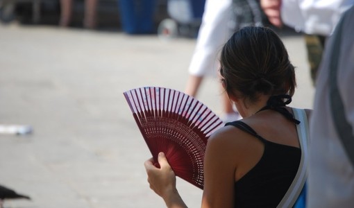 L'afa non dà tregua a Genova: dal condizionatore alla dieta, il vademecum degli esperti per superare il picco di caldo L'afa non dà tregua a Genova: dal condizionatore alla dieta, il vademecum degli esperti per superare il picco di caldo