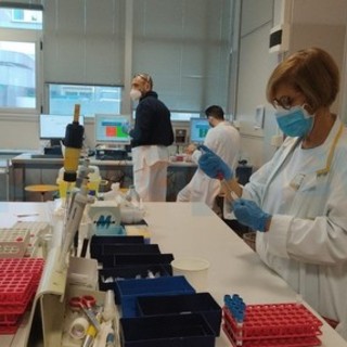 Coronavirus, numeri stazionari in Liguria, lieve rialzo dei ricoverati