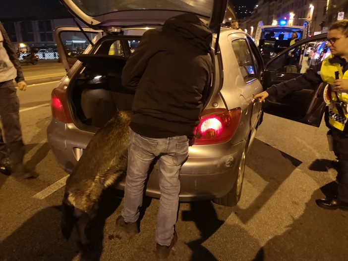 Controlli notturni di guardia di finanza e polizia locale: sequestri, denunce e patenti ritirate