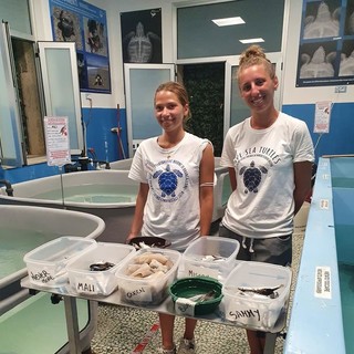 E' genovese una delle due volontarie del Centro recupero tartarughe marine di Brancaleone [FOTO]