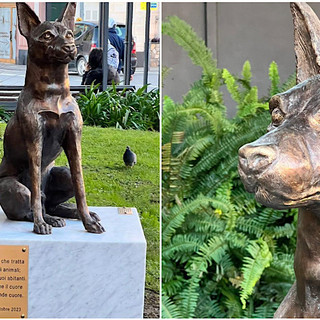 Una statua celebra l'amore infinito tra i cani e l'uomo: il regalo di un padrone rimasto senza il suo quattrozampe
