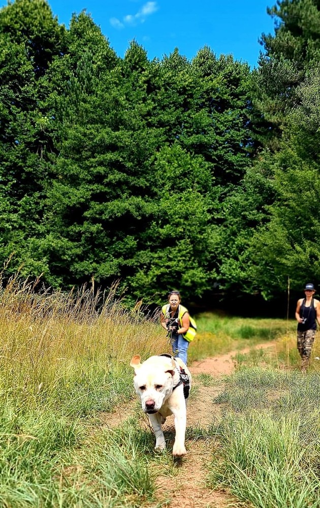 A Rovegno il bootcamp internazionale per la ricerca di persone scomparse con i cani molecolari