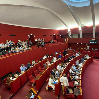 WWF escluso dalla commissione su Amt, associazioni all’attacco: “Gravissimo precedente: non è mai successo" WWF escluso dalla commissione su Amt, associazioni all’attacco: “Gravissimo precedente: non è mai successo"
