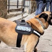 Centro storico, controlli antidroga nei caruggi: il cane Constantin scopre oltre 40 grammi di hashish nascosti