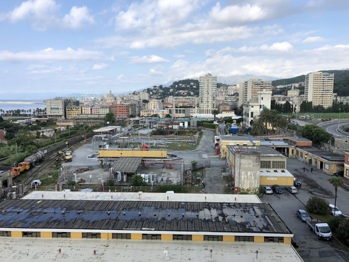 Cristina Lodi: “Democrazia vuole che le questioni si dibattano nelle aule deputate” Cristina Lodi: “Democrazia vuole che le questioni si dibattano nelle aule deputate”