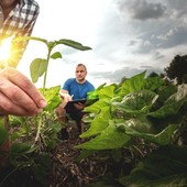 Agroalimentare: l’UE mette in campo 160 milioni per la promozione globale Agroalimentare: l’UE mette in campo 160 milioni per la promozione globale