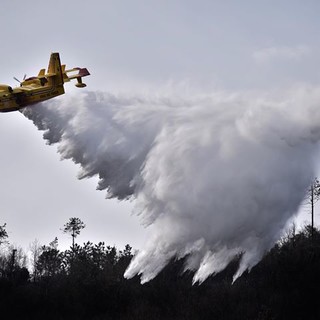 Incendi in Liguria, a Ne attivi un elicottero e un Canadair