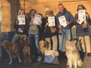 Comitato Amici di Villa Gruber, un sacco di lettere per il Comune: i cani scrivono al sindaco Comitato Amici di Villa Gruber, un sacco di lettere per il Comune: i cani scrivono al sindaco