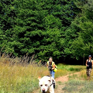 A Rovegno il bootcamp internazionale per la ricerca di persone scomparse con i cani molecolari