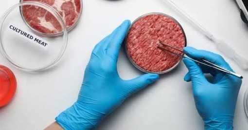 Carne coltivata, Coldiretti Liguria: "Bene lo stop ai nomi ingannevoli, più tutele per agricoltori e allevatori" Carne coltivata, Coldiretti Liguria: "Bene lo stop ai nomi ingannevoli, più tutele per agricoltori e allevatori"