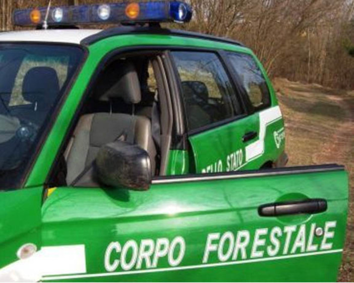 Contratto nazionale forestali: insediato oggi in Uncem il tavolo con sindacati e Mipaaf Contratto nazionale forestali: insediato oggi in Uncem il tavolo con sindacati e Mipaaf