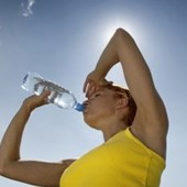 Ondata di calore, l'allarme dell'OMS: "In Europa le temperature crescono al doppio della media globale"