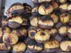 "Eventi Autentici Liguri", nel Genovesato protagoniste le castagne a Borzonasca, Torriglia e Uscio "Eventi Autentici Liguri", nel Genovesato protagoniste le castagne a Borzonasca, Torriglia e Uscio