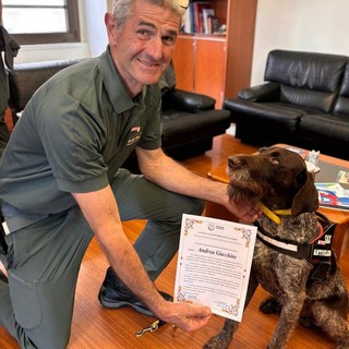 Encomio all'ispettore Giacchino e al cane Sax per l'impegno con il nucleo regionale antiveleno