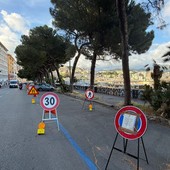 Caso alberi di corso Podestà, è scontro in Consiglio. Coppola “Siamo la prima amministrazione a pubblicare il censimento arboreo” Caso alberi di corso Podestà, è scontro in Consiglio. Coppola “Siamo la prima amministrazione a pubblicare il censimento arboreo”