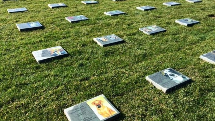 La maggioranza a Tursi: "Anche a Genova un cimitero per gli animali"