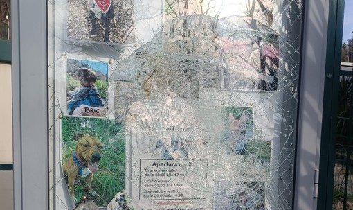 Foto Facebook Amici del cane - Rifugio del Gazzo