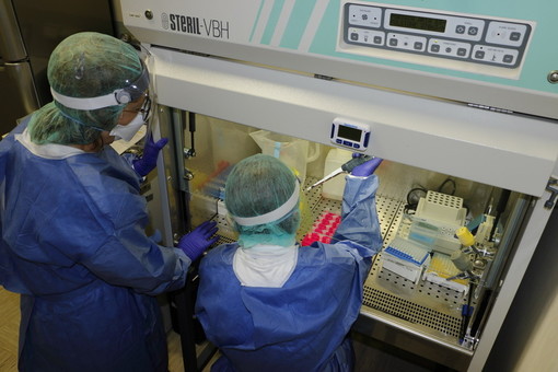 Coronavirus: 309 nuovi positivi in Liguria, 22 i casi nel savonese