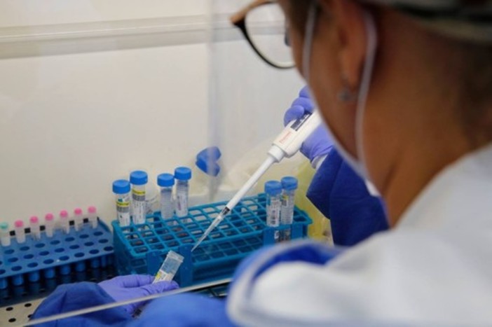 Coronavirus: in Liguria 432 nuovi positivi su 5.149 tamponi