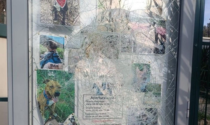 Foto Facebook Amici del cane - Rifugio del Gazzo