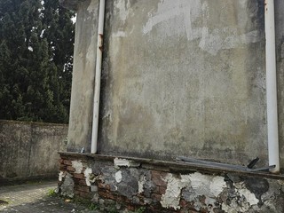 Foto Facebook Franca Bolognini