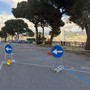 Corso Podestà, al via la manutenzione di 14 pini: interventi di potatura e messa in sicurezza Corso Podestà, al via la manutenzione di 14 pini: interventi di potatura e messa in sicurezza